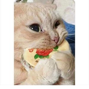 Meet your Posher, Edgar